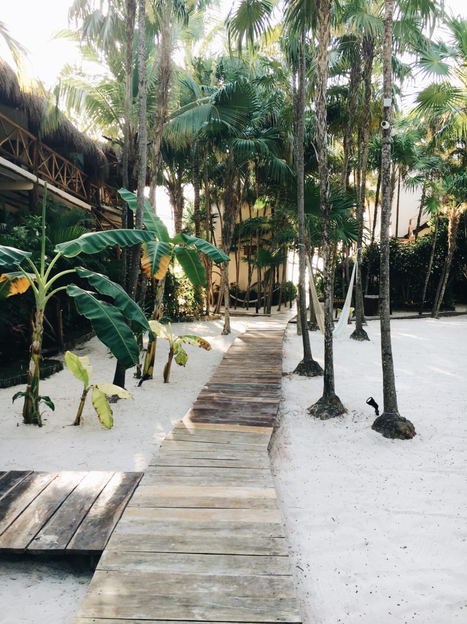 HANNAH SHELBY: Snapshots from Tulum Wedding Addition