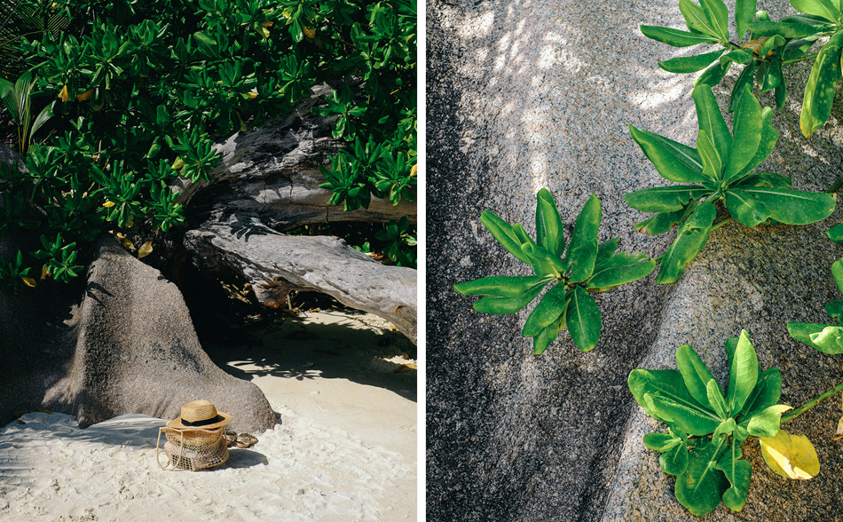 HANNAH SHELBY: La Digue Seychelles Photo Diary + Travel Guide