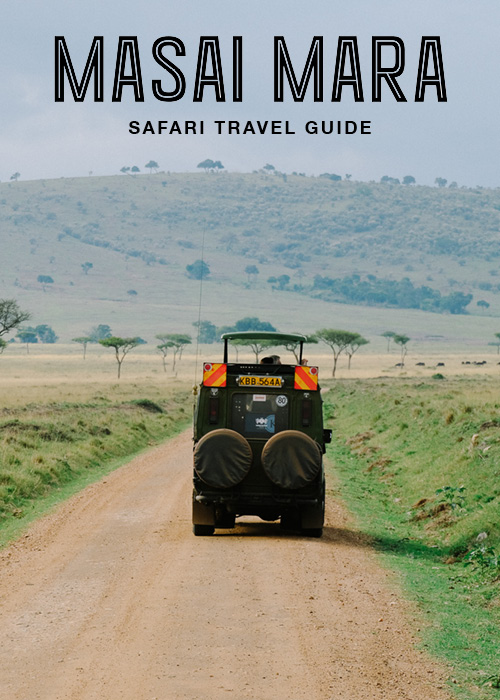 HANNAH SHELBY: Masai Mara Safari Ultimate Travel Guide